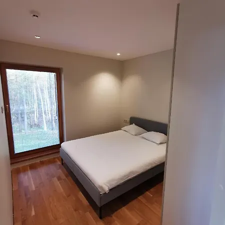 Vytauto 423 By Jk * Паланга