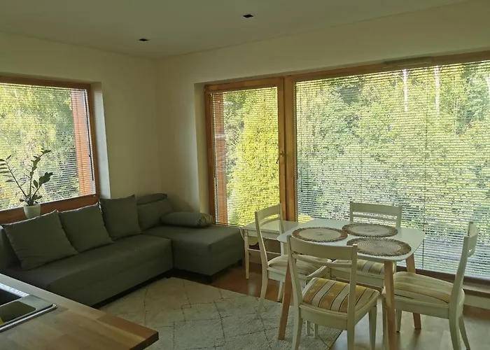 Vytauto 423 By Jk Апартаменти *