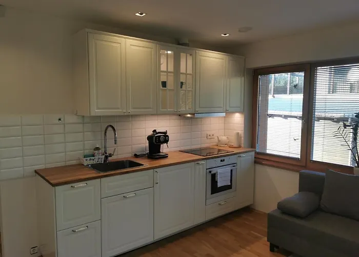 شقة Vytauto 423 By Jk *