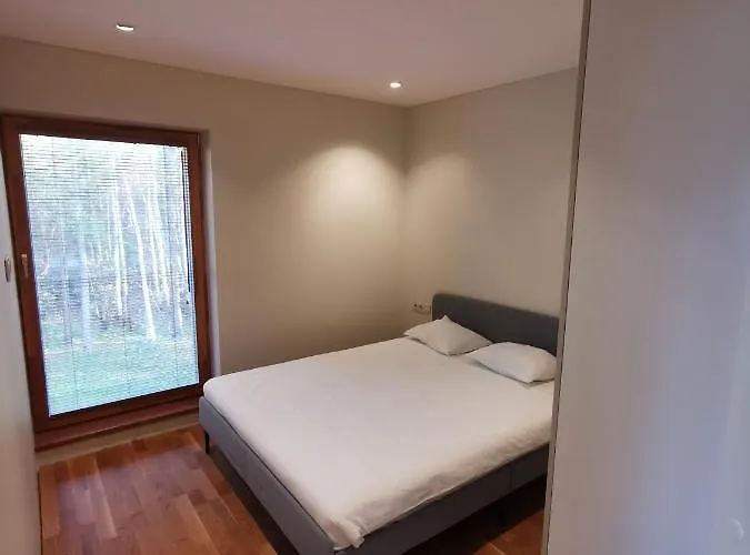 Vytauto 423 By Jk * Паланга